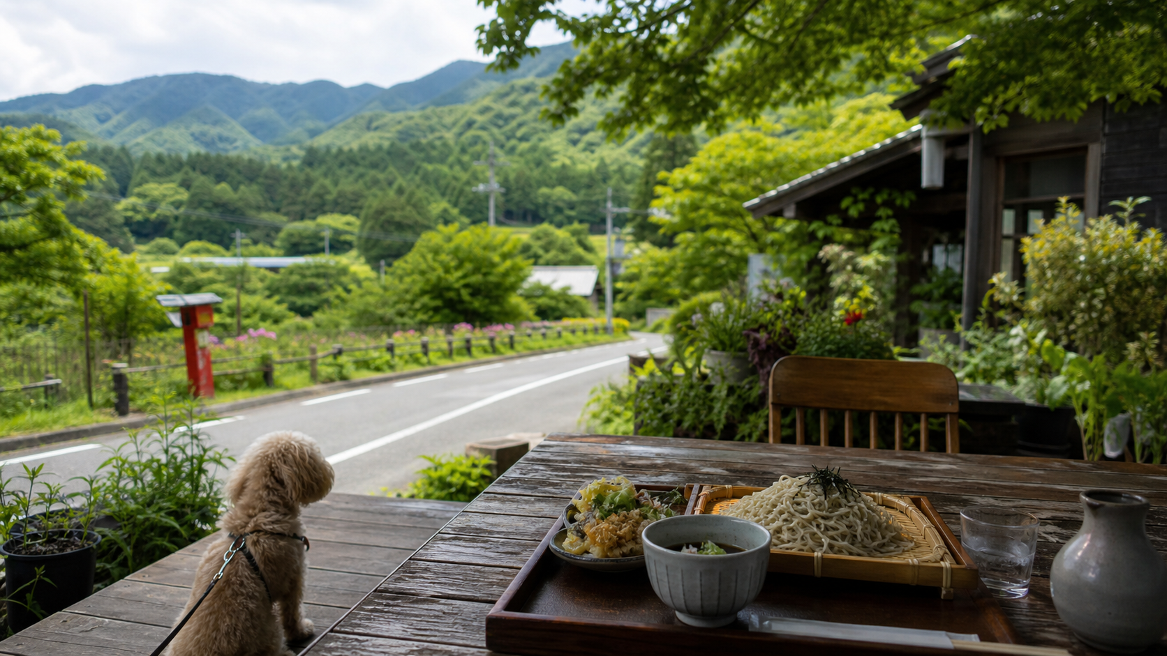 群馬テレビ新番組「いぬ日和」から考える、北関東・群馬の犬連れ週末旅